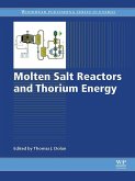 Molten Salt Reactors and Thorium Energy (eBook, ePUB)