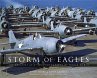 Storm of Eagles (eBook, ePUB) - Bild 1
