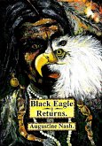 Black Eagle Returns (eBook, ePUB)