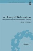 A History of Technoscience (eBook, PDF)