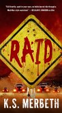 Raid (eBook, ePUB)