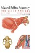 Atlas of Feline Anatomy For... - Bild 1
