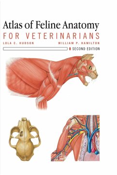 Cover Atlas of Feline Anatomy For Veterinarians (eBook, PDF)