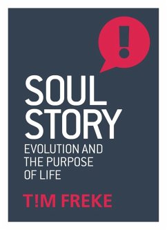 Cover Soul Story (eBook, ePUB)