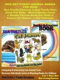 Sea Turtle Pictures & Sea Turtle Fact Book For Kids - Weird Snake Facts & Snake Picture Book For Kids & Cat Humor: 3 In 1 Box Set Kid Books With Animals (eBook, ePUB)