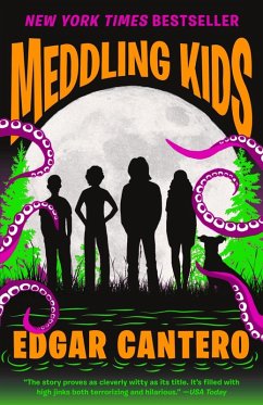 Cover Meddling Kids (eBook, ePUB)