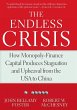 The Endless Crisis (eBook, ePUB) - Bild 1