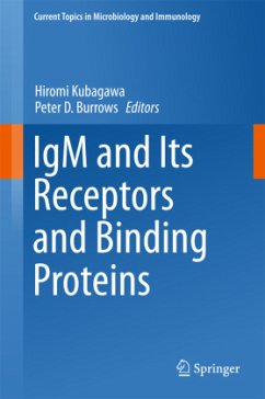 IgM and its Receptors and Binding Proteins