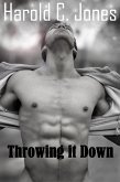Throwing It Down (The Virgin and the Troll, #2) (eBook, ePUB)