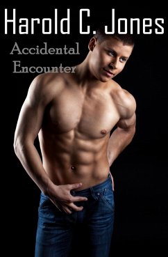 Cover Accidental Encounter (eBook, ePUB)