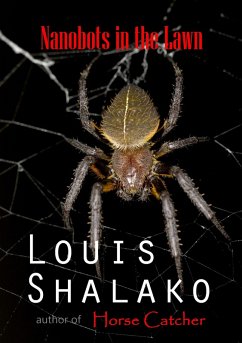Cover Nanobots in the Lawn (eBook, ePUB)
