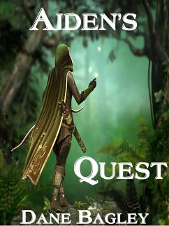 Cover Aiden's Quest (eBook, ePUB)