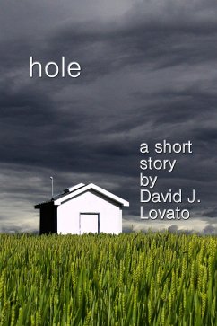 Cover Hole (eBook, ePUB)