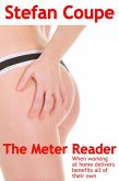 The Meter Reader (eBook, ePUB)