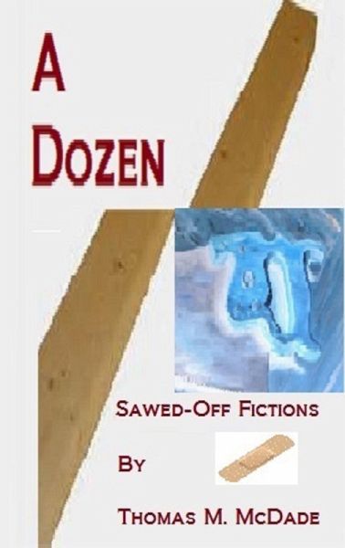 A Dozen Sawed-Off Fictions (eBook, ePUB)