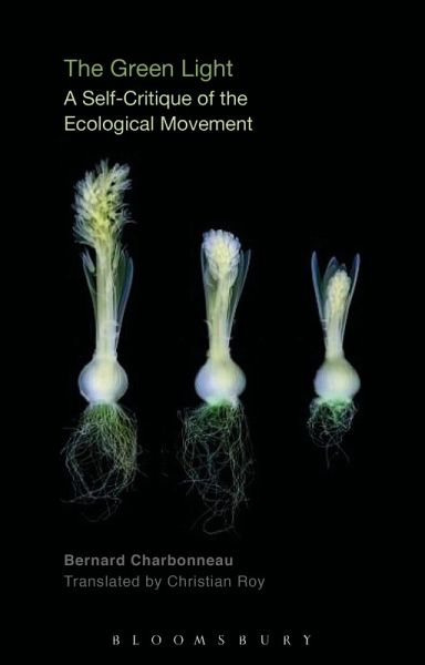 The Green Light The Green Light