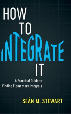 How to Integrate It - Stewart, Seán M.