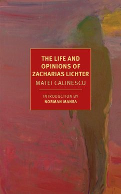 The Life and Opinions of Zacharias Lichter - Mitchell, Breon; Calinescu, Matei