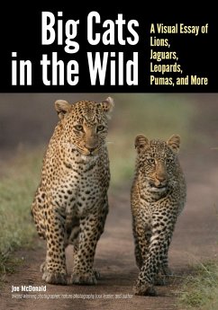 Cover Big Cats in the Wild