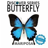 Butterfly / Mariposa