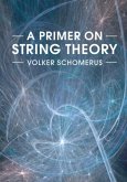 Primer on String Theory (eBook, PDF)