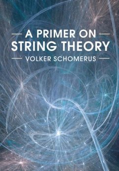 Primer on String Theory (eBook, PDF) - Schomerus, Volker