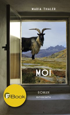 Moi (eBook, ePUB) - Thaler, Maria