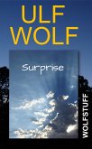 Surprise (eBook, ePUB)