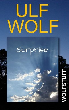 Cover Surprise (eBook, ePUB)