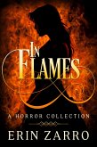In Flames (eBook, ePUB)