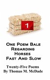 One Poem Bale regarding Horses Fast and Slow (eBook, ePUB)