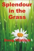Splendour in the Grass (eBook, ePUB) Splendour in the Grass (eBook, ePUB)