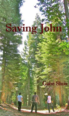 Saving John (eBook, ePUB) - Sluis, Gabe