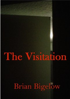 Cover The Visitation (eBook, ePUB)