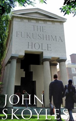 Cover Fukushima Hole: A YouTube Companion Book (eBook, ePUB)