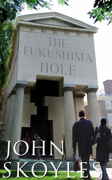 Fukushima Hole: A YouTube Companion Book (eBook, ePUB)