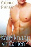 Katelknaap vir Carlien (Afrikaans Edition) (eBook, ePUB) Katelknaap vir Carlien (Afrikaans Edition) (eBook, ePUB)