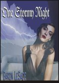 One Stormy Night (eBook, ePUB)