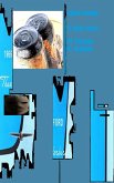 Spirit Casing (eBook, ePUB) Spirit Casing (eBook, ePUB)