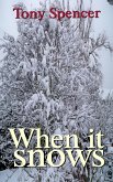 When it Snows (eBook, ePUB)