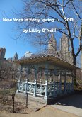 New York in Early Spring - 2013 (eBook, ePUB)
