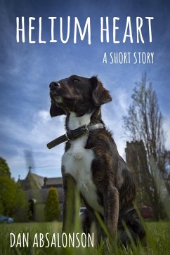 Cover Helium Heart (eBook, ePUB)