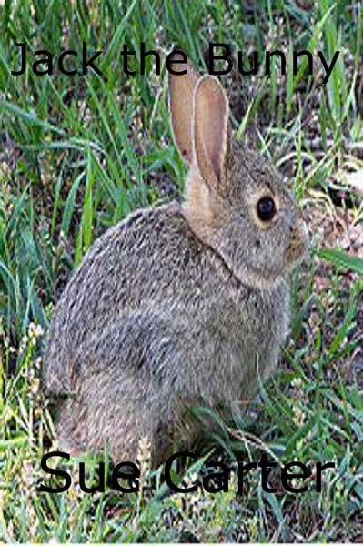 Jack the Bunny (eBook, ePUB)