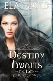 The 13th: Destiny Awaits (eBook, ePUB)