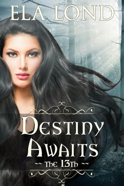 Cover The 13th: Destiny Awaits (eBook, ePUB)