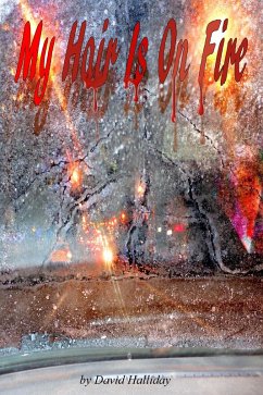 Cover My Hair Is On Fire (eBook, ePUB)