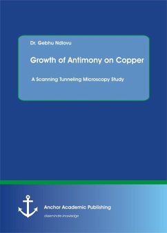 Growth of Antimony on Copper. A Scanning Tunneling Microscopy Study (eBook, PDF) - Ndlovu, Gebhu