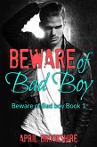 Beware of Bad Boy (eBook, ePUB)