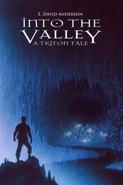 Into the Valley (eBook, ePUB) - Anderson, E. David