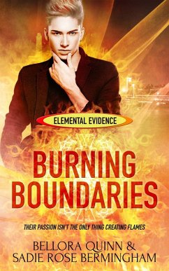 Burning Boundaries (eBook, ePUB) - Quinn, Bellora; Bermingham, Sadie Rose
